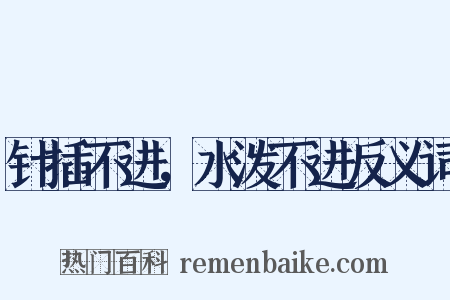 针插不进，水泼不进反义词是什么意思的图片